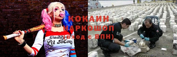 бошки Богородицк