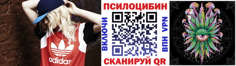 Купить где  Красноуральск  Галлюциногенные грибы Cubensis 